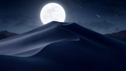 불확실성 소멸에 따라 “벌 수 있을 때 진창 벌어두자.”
